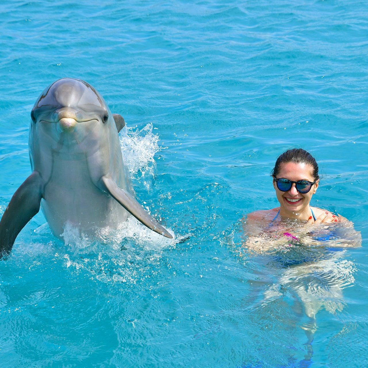 Vrouwelijke toerist en dolfijn in de zee, lachend naar de camera bij de Dolphin Academy Curaçao.