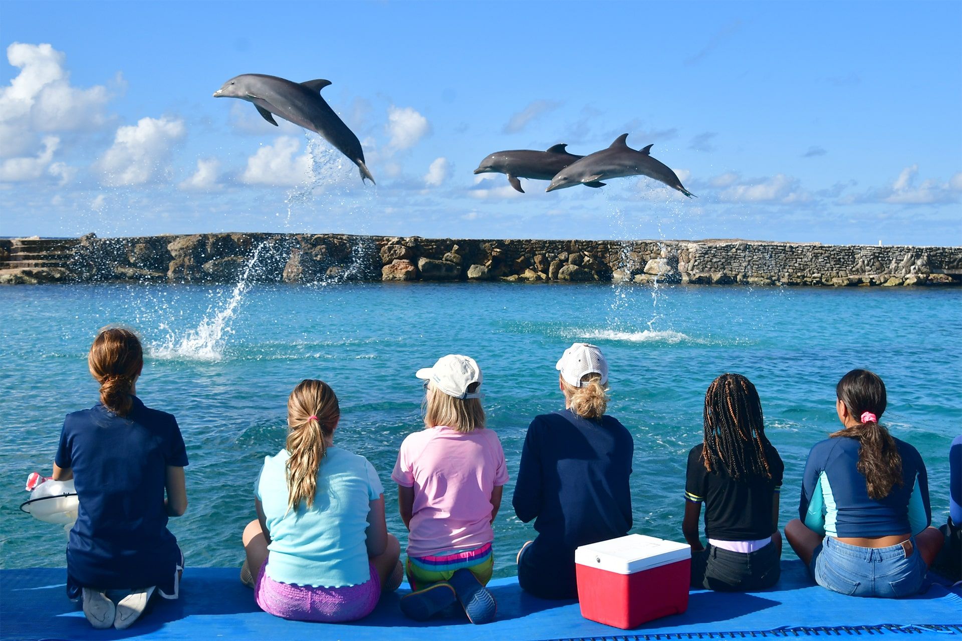 Los niños disfrutan de las actividades de la academia de delfines.