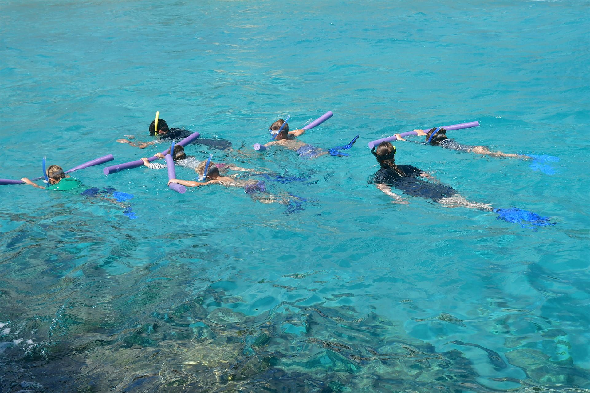 Niños haciendo snorkel durante sus actividades juveniles ofrecidas por la Academia de Delfines de Curaçao.