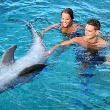Twee toeristen zwemmen met een getrainde dolfijn.