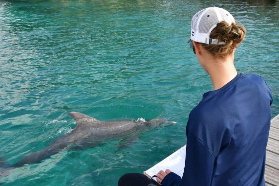 Trainer die over een dolfijn waakt op de dolphin academy op Curaçao.